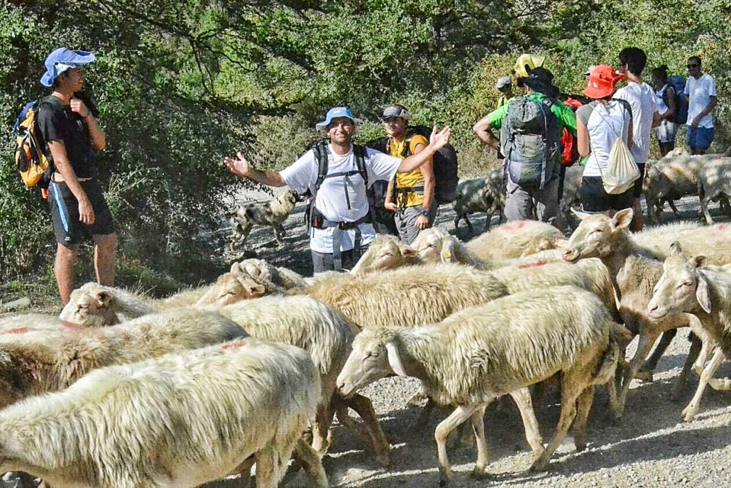 In cammino - incontri...