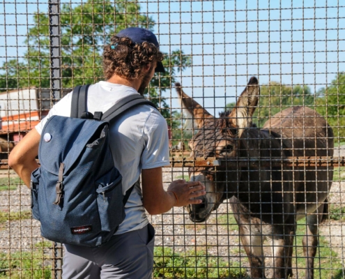 Lungo il cammino - Incontri